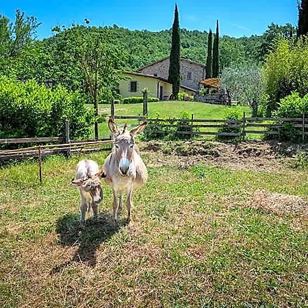 I Pietrini 3*